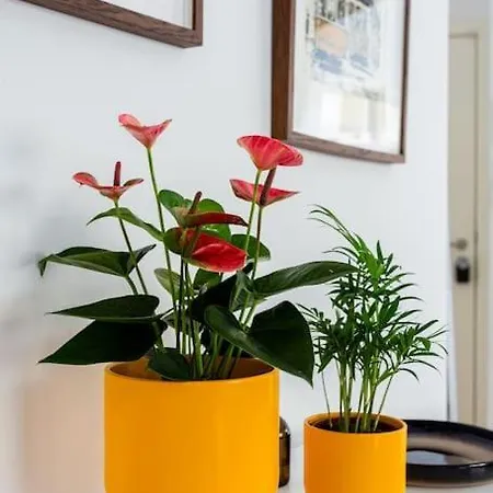 Appartement Campo De Ourique Modern